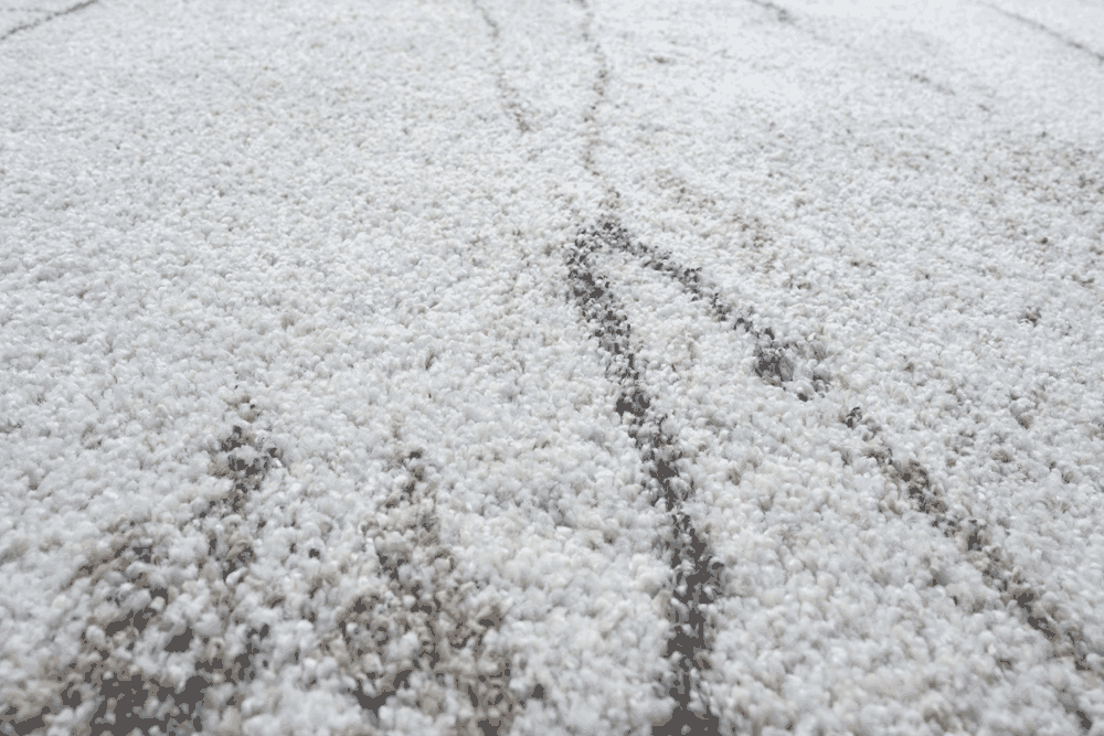 Mehari- 023 - 0123  6362