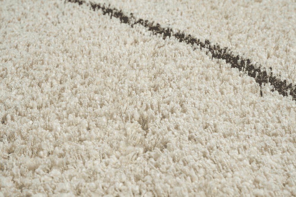 Twilight Shaggy -  039-0004 6933