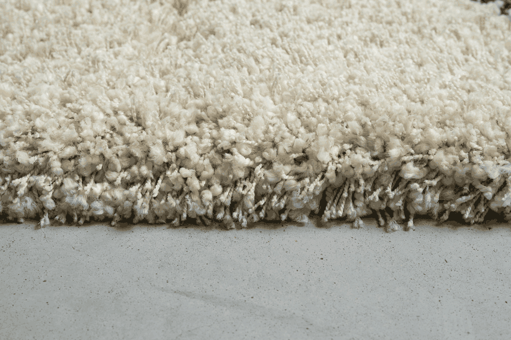 Twilight Shaggy -  039-0004 6933