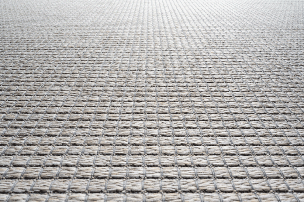 Brighton-  098- 0071 - 2029 -99 Indoor / Outdoor