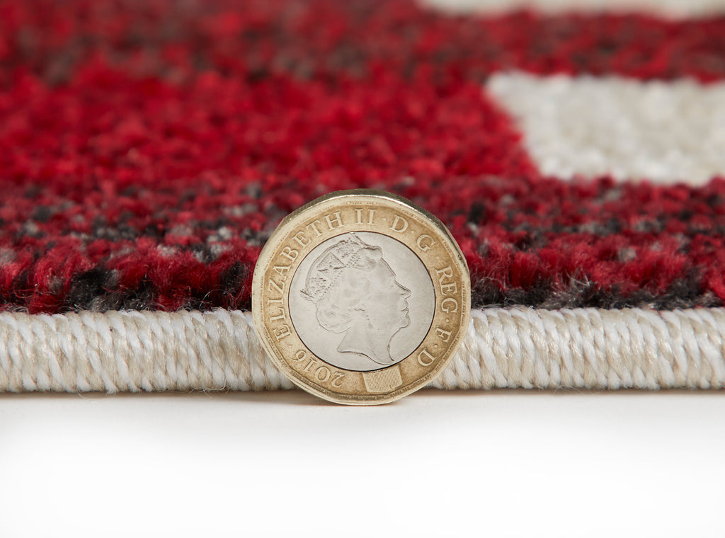 Carnival - CAR108 - Multi-  Rama (Concept Looms)