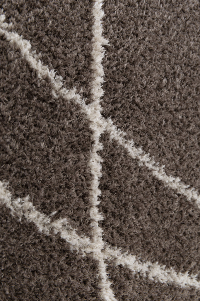 Halo - Shaggy - Squiggle- Taupe - Melrose Interiors