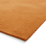 Bay Camel
