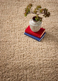 Hadley - Beige- Shaggy - Origins - Phoenox Rugs