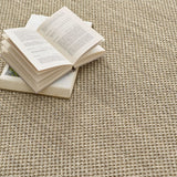 Sisal Neutrals- Light Sand - Beige Border -  Origins-  Phoenox Rugs