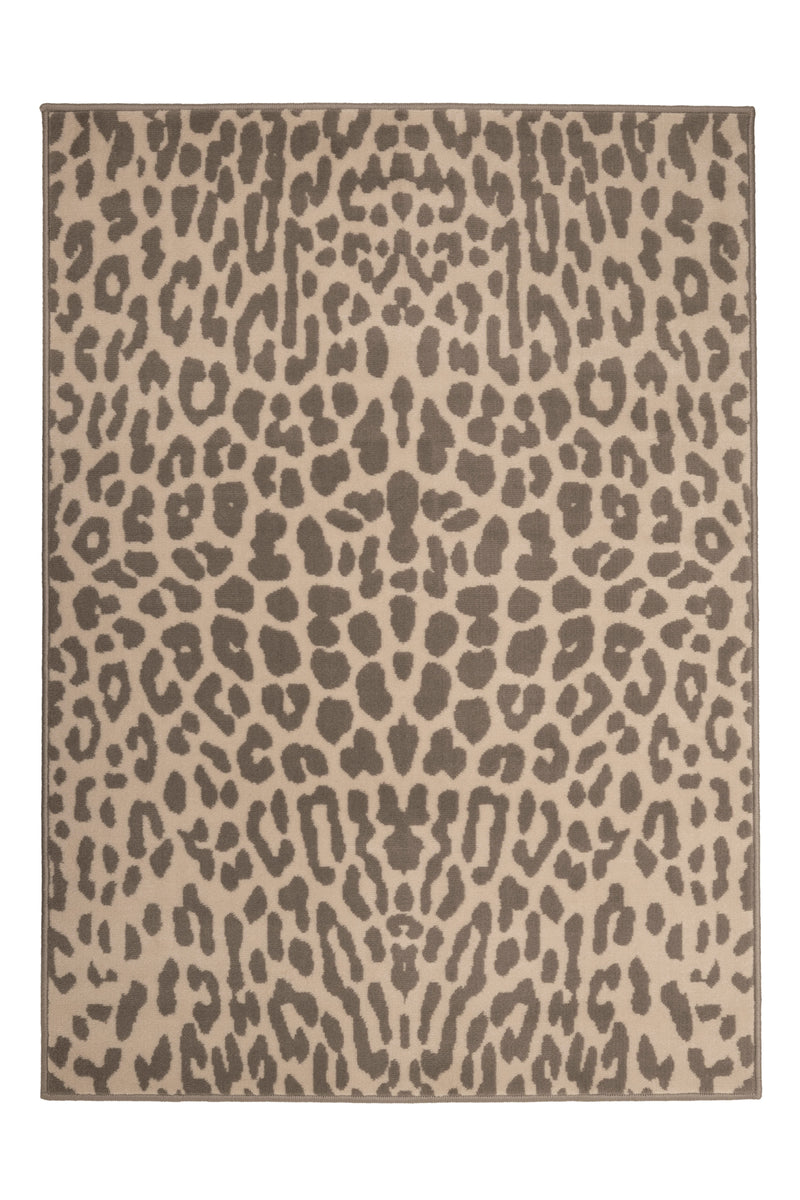Maestro - Leopard - Natural- Melrose Interiors