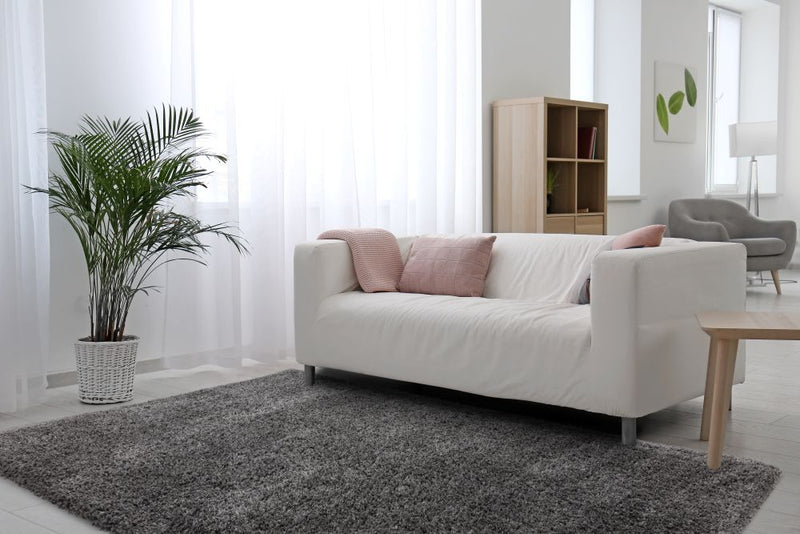 Ritchie - Shaggy - Grey  - Asiatic London