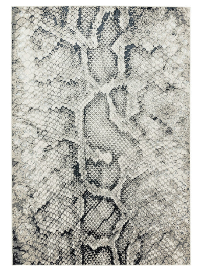 Quantum - Snake -   Asiatic London