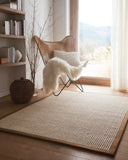 Sisal Boucle - Soft Mocha Border - Pheonox Rugs