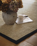 Sisal Neutrals- Light Beige - Black Border -  Origins-  Phoenox Rugs