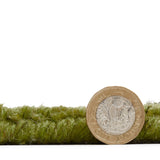 Windsor Wool Border - Green - Think Rugs