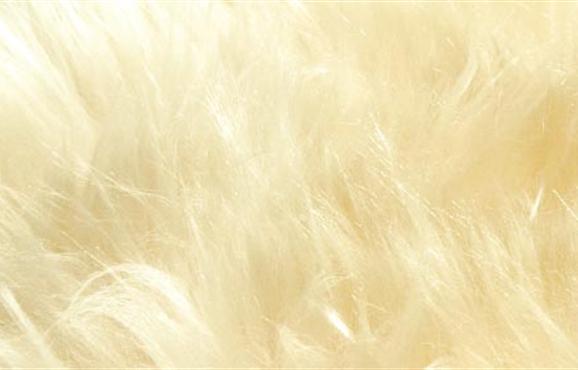 Sheepskin - White - Real Sheepskin AC